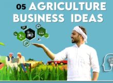 5 Profitable Agriculture Business Ideas With Low Investment