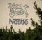 Nestle India shares turn ex-date for stock split; FMCG stock reacts