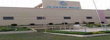 JK Paper share price Today Live Updates : JK Paper Stock Rises on Positive Trading Day